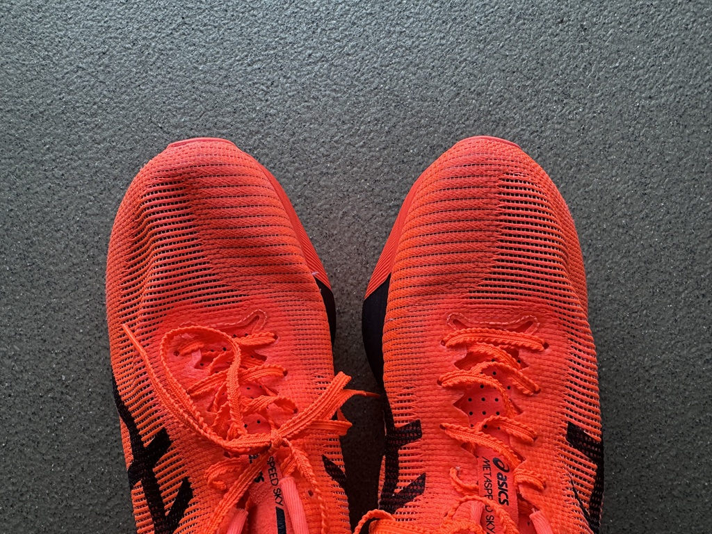 metaspeedskyparies-04