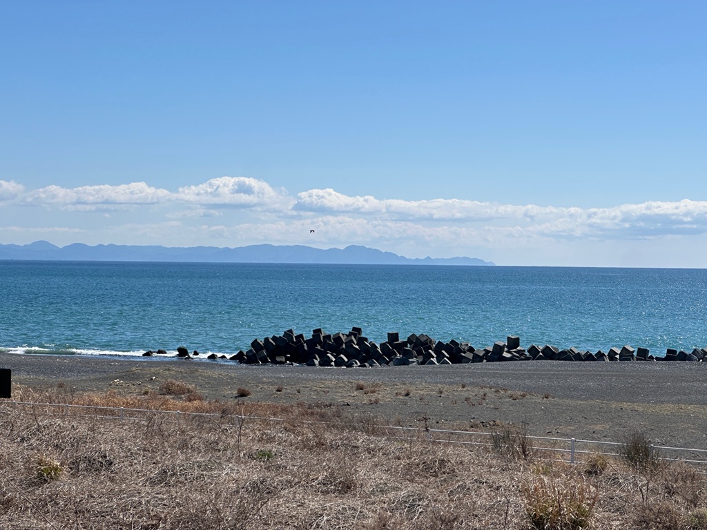 静岡マラソン　海岸